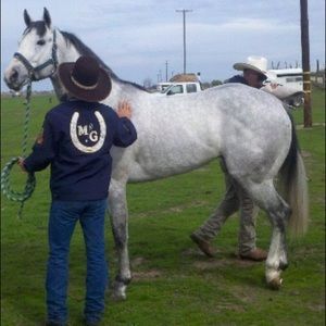 Meet your Posher, Jesus